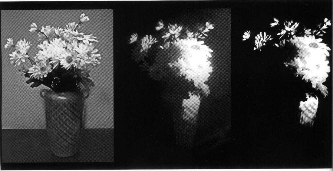 The same vase of daisies three times: evenly lit on a grey wall; mostly dark with one lit cluster; only the lit flower shapes on solid black.