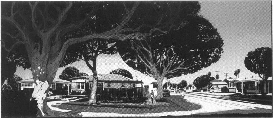A suburban street under arching tree canopies.