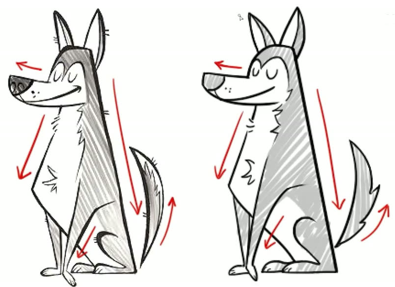 Two dog drawings side by side with arrows along the muzzle, chest, back, hind leg and tail showing matching directions.