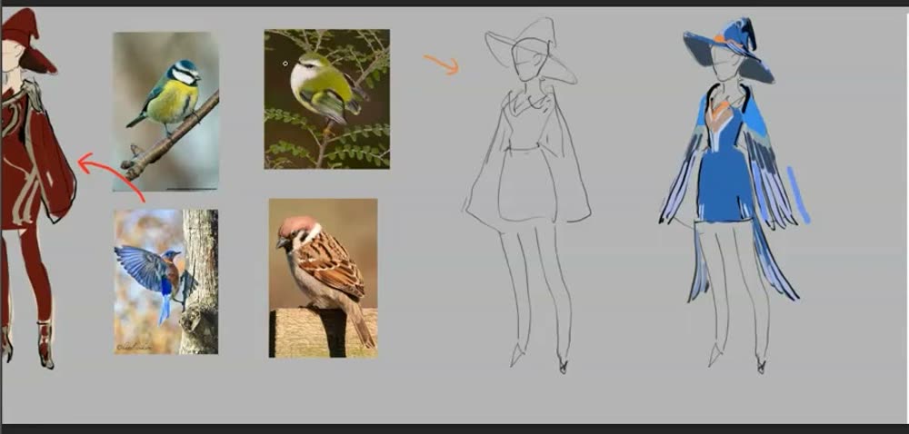 The red-hat outfit, bird photos, the same outfit as a blank line drawing, and a blue-bird themed version.
